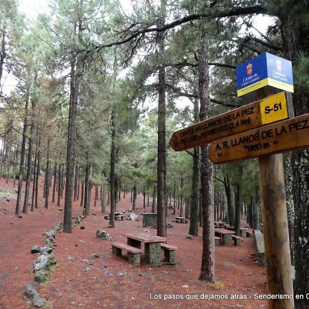 Canarias. Islas Afortunadas 라스팔마스 외부 사진