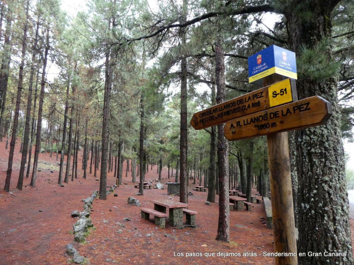 Canarias. Islas Afortunadas 라스팔마스 외부 사진